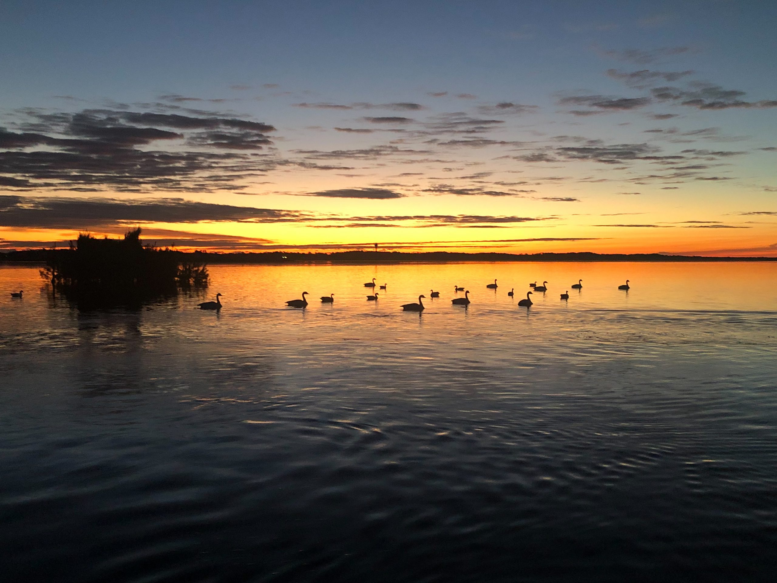 Hunting Guides Currituck Chamber of Commerce